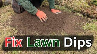 How To Fix Lawn Dips While Fixing Your Tired Lawn