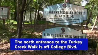 Turkey Creek Boardwalk North Entrance