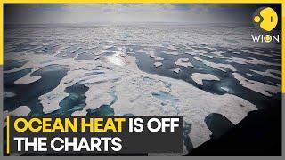 World’s oceans set new temperature record | WION Climate Tracker