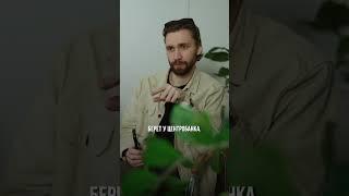 КАК ОБОГАЩАЮТСЯ БАНКИ ЗА СЧЕТ СПИСАНИЯ ДОЛГОВ? 