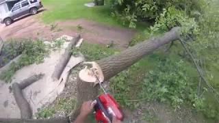 QUICK TREE JOB OVER A GARAGE