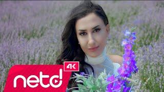 Eda Doğanay - Gelmiyor Musun