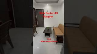 Rent 1bhk in Gurgaon on www.rentout.homes #1bhk #1bedroom #shortsvideo