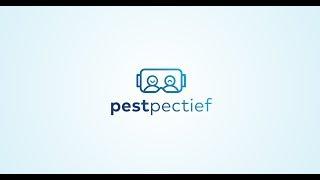 Pestpectief