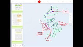 Biomolecules Class 11 Lecture 01