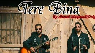 Tere Bina Song By || Ahmed Maqsood ||