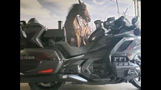 2021 Goldwing Mega-Build "War Horse" Walk Around - Get Popcorn!!! Max McAllister & Traxxion Dynamics