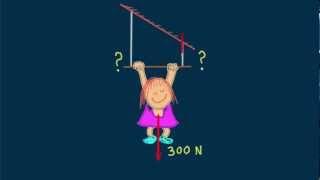 Hewitt-Drew-it! PHYSICS 3. Net Force & Vectors