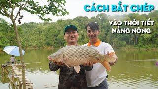 Hướng Dẫn Cách Câu Cá Chép Trong Môi Trường Tự Nhiên, Bán Tự Nhiên | VIETNAM FISHING