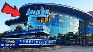 Downtown Aquarium Denver Colorado Full Tour 2024