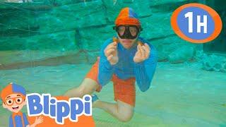 Blippi Searches For the Mother Pearl | Blippi | Kids Songs | Moonbug Kids