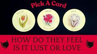 ️‍IS IT LUST OR IS IT LOVE: HOW DO THEY FEEL|CHARM|TAROT PICK A CARD