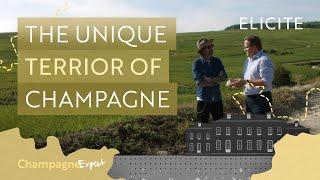 The Unique Terroir Of The Champagne Wine Region