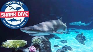 Swimming with sharks at Point Defiance Zoo and Aquarium (Jan 2021)