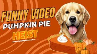 King Buddy’s Pumpkin Pie HEIST: Grandpa’s Decaf Prank Backfires!  | Hilarious Dog VIDEO
