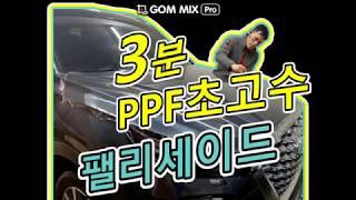 [세계최초]혼자서 셀프PPF 3분 팰리세이드 본넷 PPF 초고수 발견!!