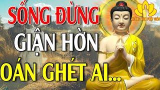 Nghe Phật Dạy Sống Đừng Giận Hờn Oán Ghét Ai Bởi Khổ Đau Sẽ Trả Về Chính Bạn # RẤT HAY