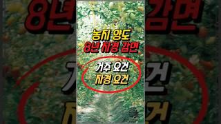 농지 양도, 8년 자경 감면, 거주요건, 소득요건