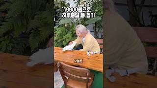 9900원으로 하루종일 뽕을 뽑을 수 있다고?!️