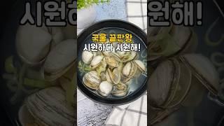 동죽 조개탕 끓이는방법 #조개탕끓이는방법 #조개탕만들기 #조개탕끓이는법 #조개탕레시피 #동죽조개탕 #조개탕 #동죽탕 #물총탕 #동죽조개탕끓이는법  #동죽요리