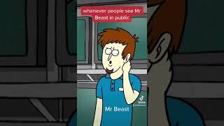 when people see Mr Beast in public