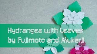 Mother's Day Origami Tutorial: Flower Hydrangea with Leaves (Shuzo Fujimoto and Meenakshi Mukerji)