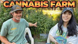 I Visited a Cannabis Farm!