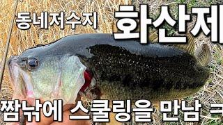 동네저수지 화산제 짬낚에 스쿨링을 만나다 최프로티비 279화