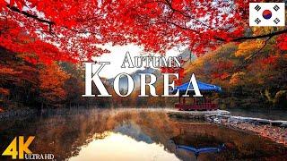 Autumn Korea 4K Ultra HD • Enchanting Autumn Korea, Scenic Relaxation Film with Calming Music.