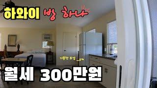 하와이 시골 빅아일랜드 방하나 살 떨리는 월세 300만원 수준 | 미국에서 집구하는 방법