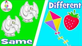 SAME and DIFFERENT for Kids! (Compare and Contrast OPPOSITE Words) | Toddler Learning Videos