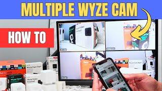 View Multiple Wyze cameras at Once