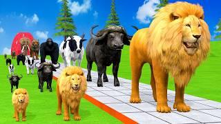 Paint & Animals Duck,Gorilla,Lion,Elephant,Cow,Sheep Fountain Crossing Transformation Animal Cartoon