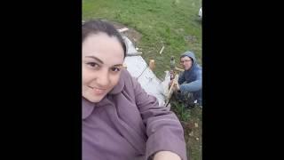1000 подписчиков.Всем спасибоОбзор проделанной работы