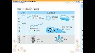 微生物學第01章  緒論