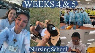 Week 4 and 5 | First Semester of Nursing School [Spring 2024]