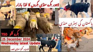 Wednesday Latest Update | Shahpur Kanjra Mandi | Bakra Mandi Lahore | Goat Farming In Pakistan