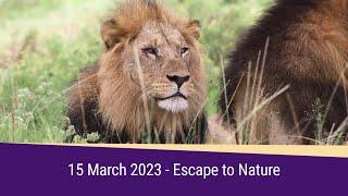 Escape to Nature Highlights 15 March 2023