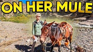 Unbelievable Discovery on a Baja Mule Ride! - EP. 300