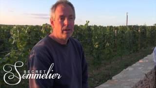 Burgundy 2015 Vintage report from the Vineyards