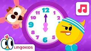 HOURS OF THE DAY ⏰ Daily Routines Song for Kids | Lingokids