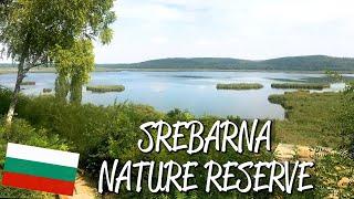 Srebana Nature Reserve - UNESCO World Heritage Site