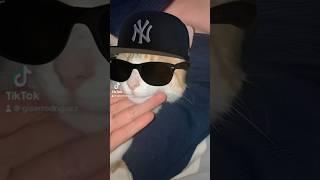 #reini ️️️