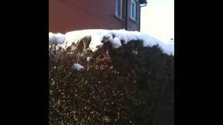 Arriving 360 in snow