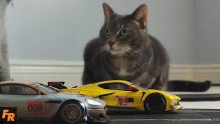 FailRace Christmas Cats! - Hunt The Aston Martin