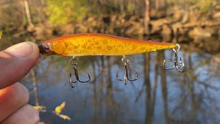 The Best Lures for Creek Fishing during November