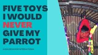 Five toys I would never give my parrot