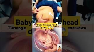 How Your Baby Turns Head-Down in the Womb