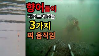 향어낚시 찌올림의 핵심 3가지 - 장계낚시터