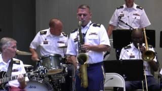 Magic Flea - US Army Blues Jazz Band at Mason District Park in Annandale, VA